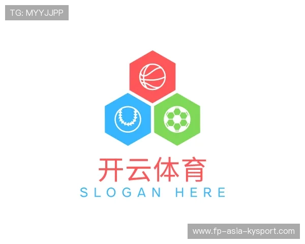 介绍开云官网入口